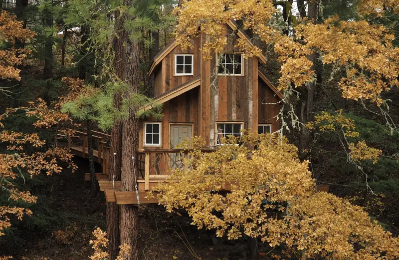 Singing Treehouse seen from the hillside, a two-story cedar cabin among ponderosa pines with a footbridge leading to its deck