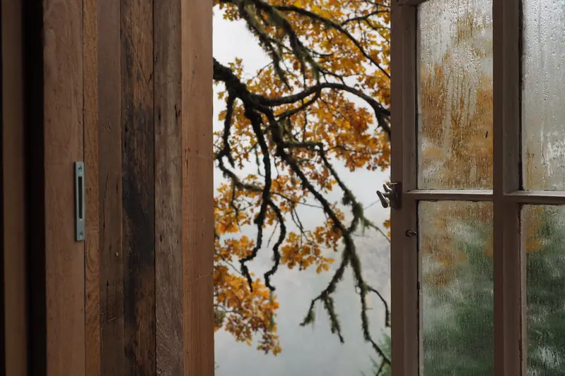View through an open window of moss-draped oak branches and orange leaves over the fog in the valley